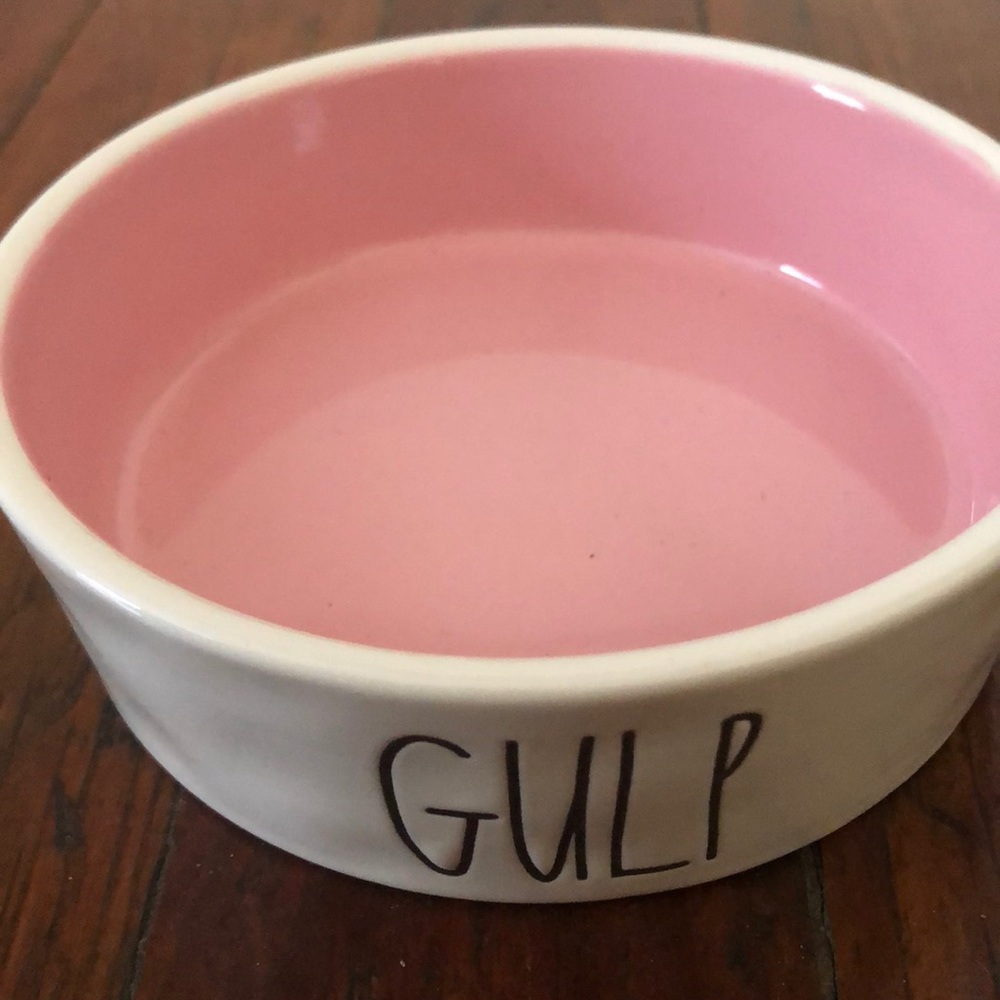 🥳LIKE NEW RAE DUNN “GULP” PET FEEDING TRAY 🐶🐱